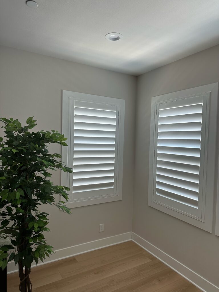 Two white plantation shutters with a plant in front